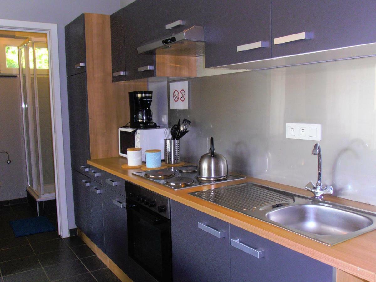 Studio Le Vedeur Avec Balcon Vue Sur Riviere Durbuy Dış mekan fotoğraf